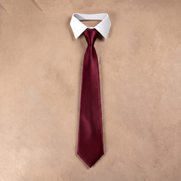 Red Silk Tie