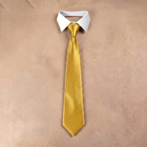 Yellow Silk Tie